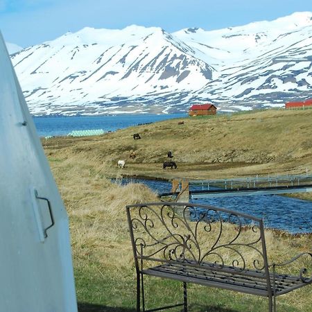 Sky Sighting Igluhus - Stay'In Arbakki Arskogssandur 외부 사진