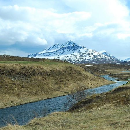Sky Sighting Igluhus - Stay'In Arbakki Arskogssandur 외부 사진