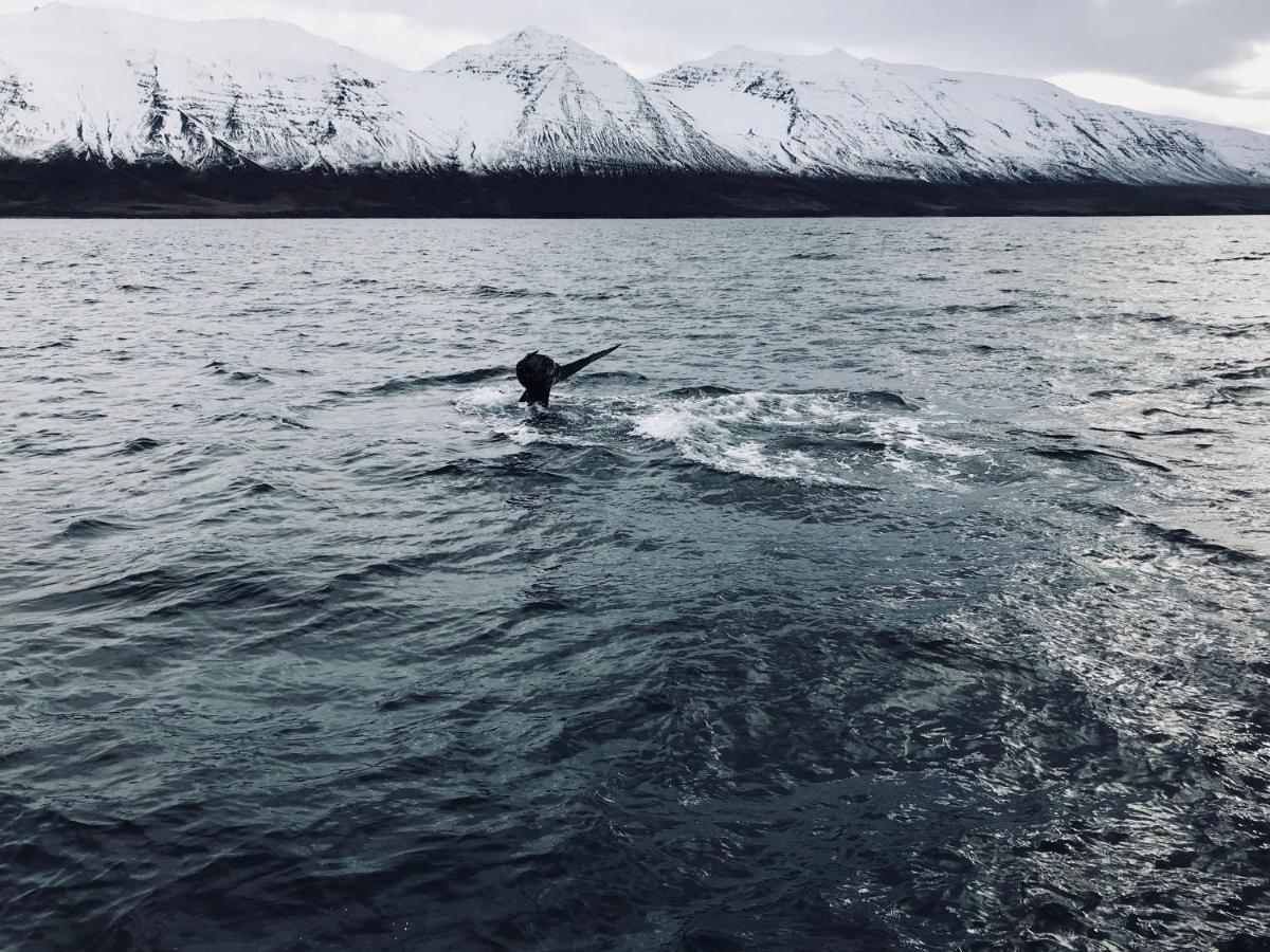 Sky Sighting Igluhus - Stay'In Arbakki Arskogssandur 외부 사진